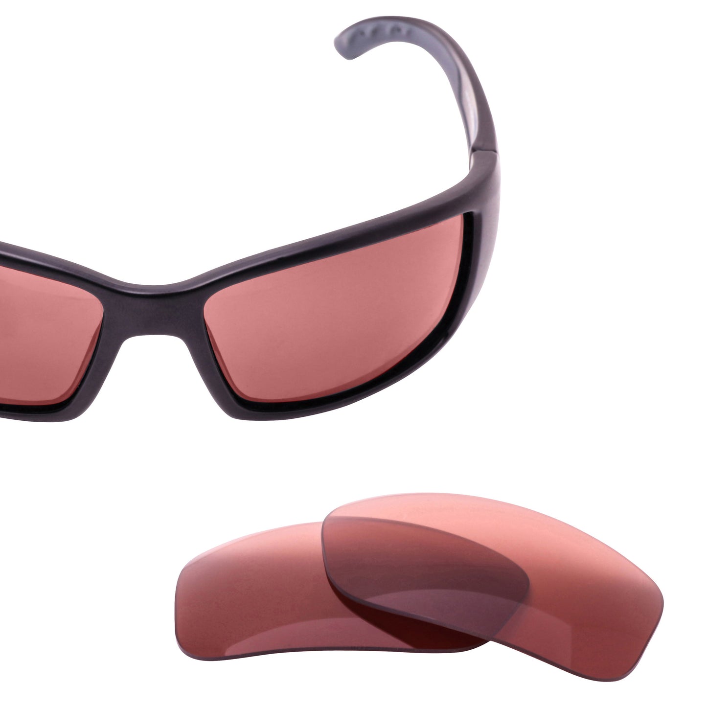 Rose Polarized