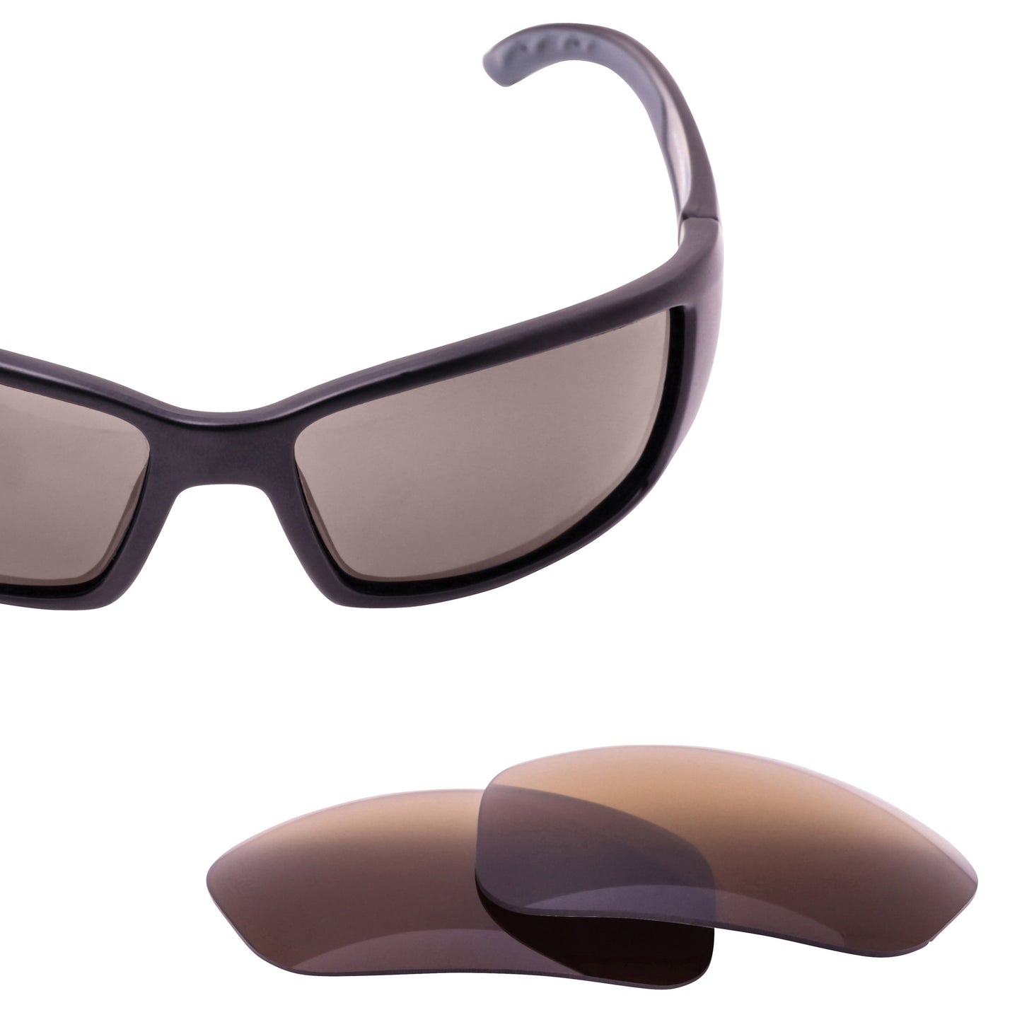 Brown Polarized